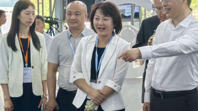 老款奥迪A6正时链条更换：关键点与注意事项